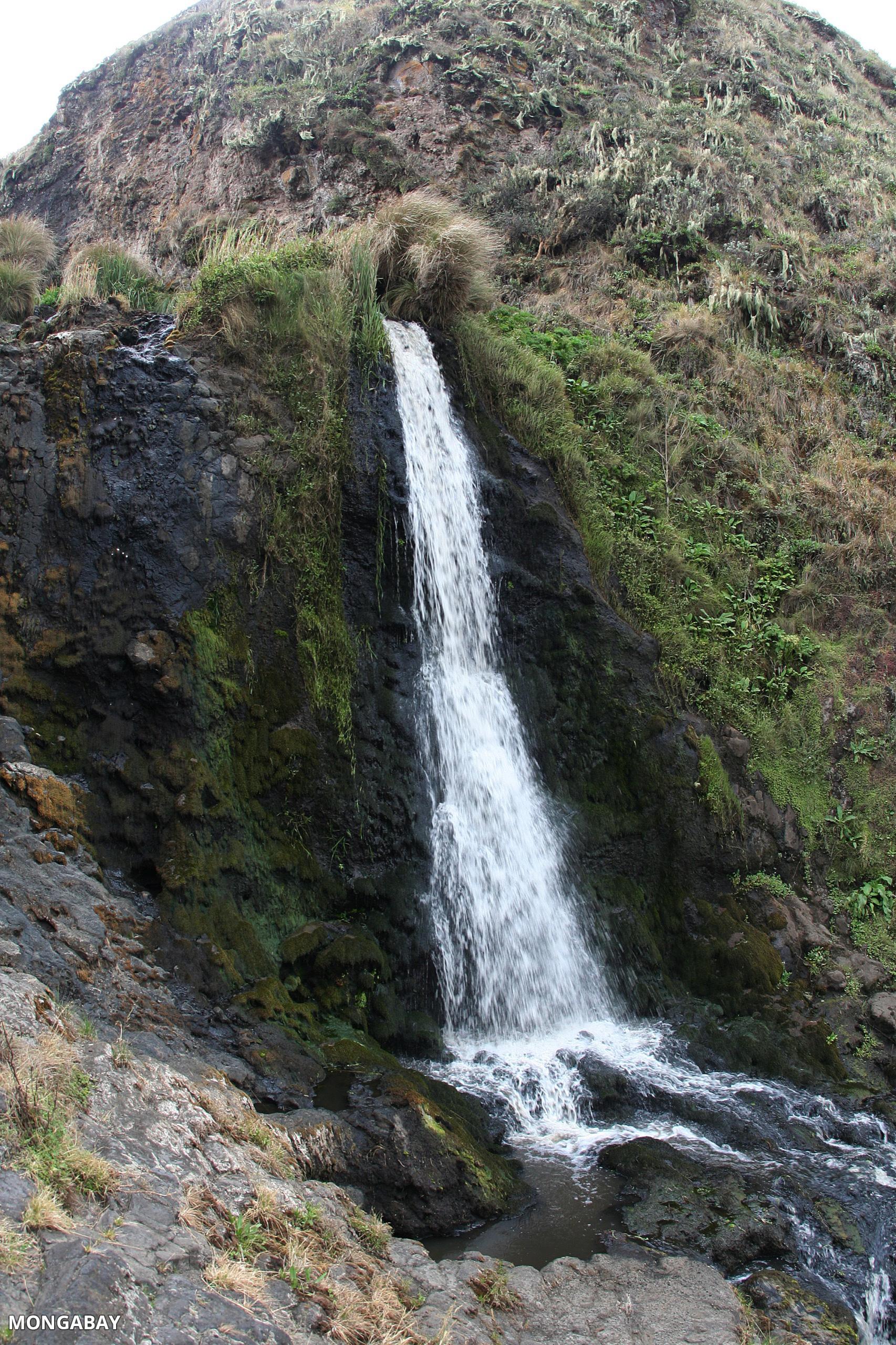 Olmoti & Empakaai Crater Experience