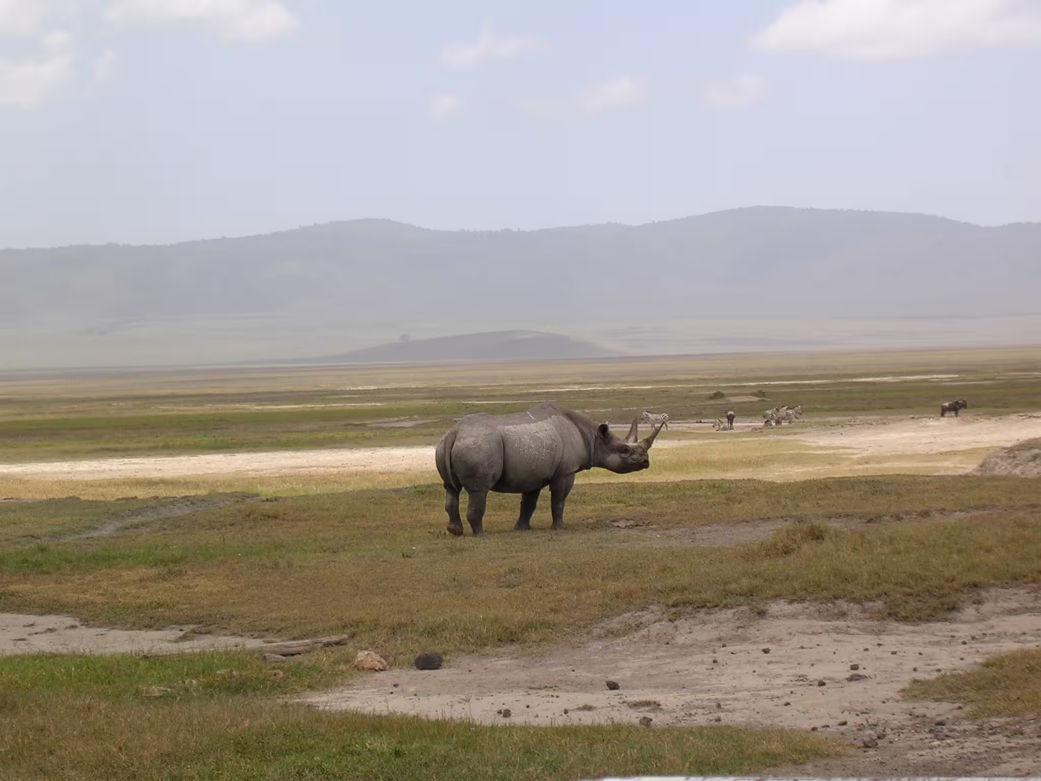 Ngorongoro Crater Safari - ARUSHA