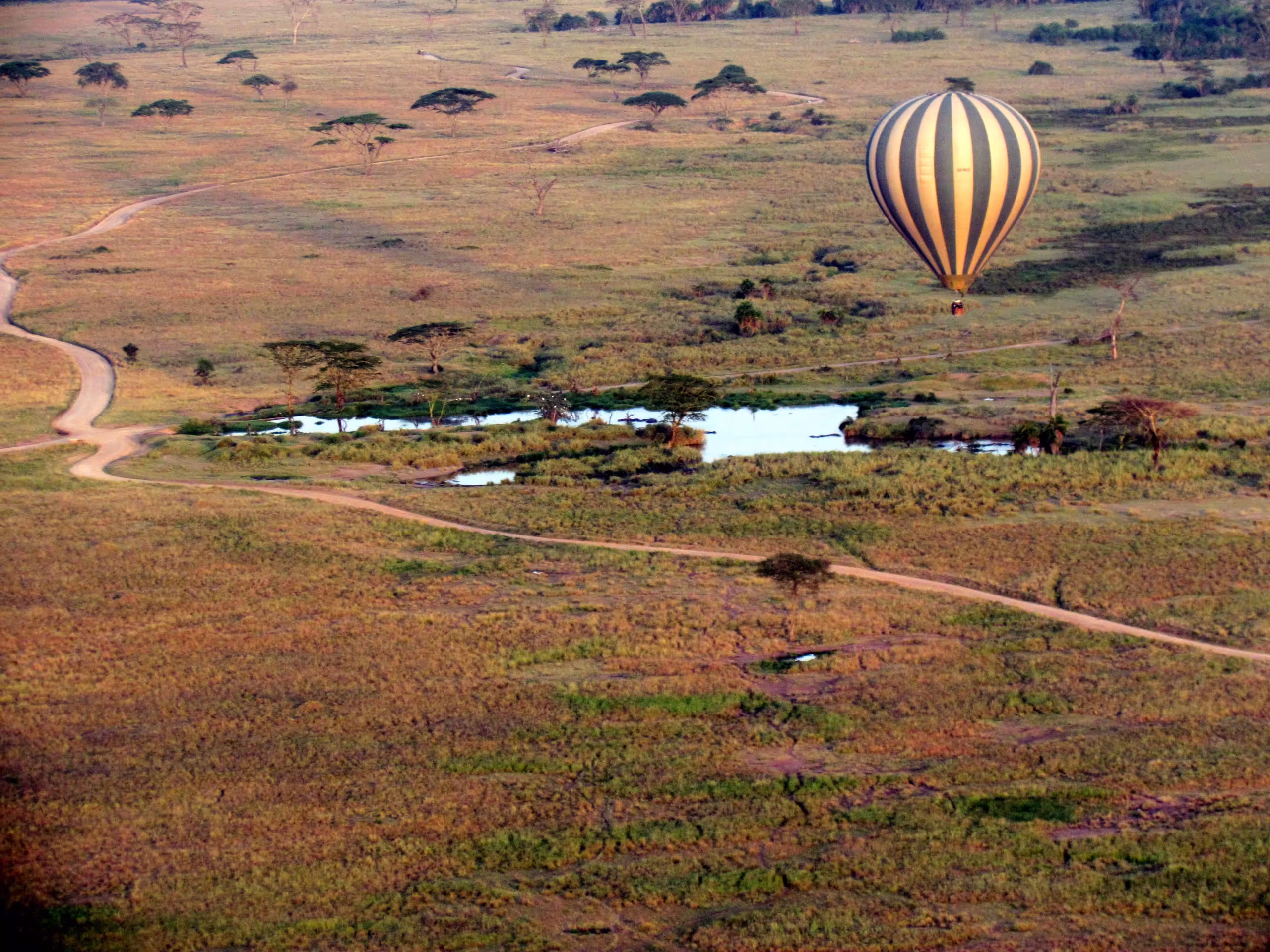 Serengeti Exclusive Exploration