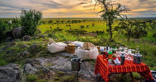 Bush dining