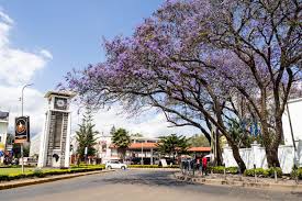 Arrival in Arusha – Cultural Introduction