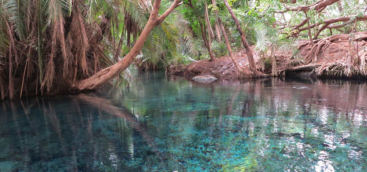 Moshi – Chemka Hot Springs – Arusha