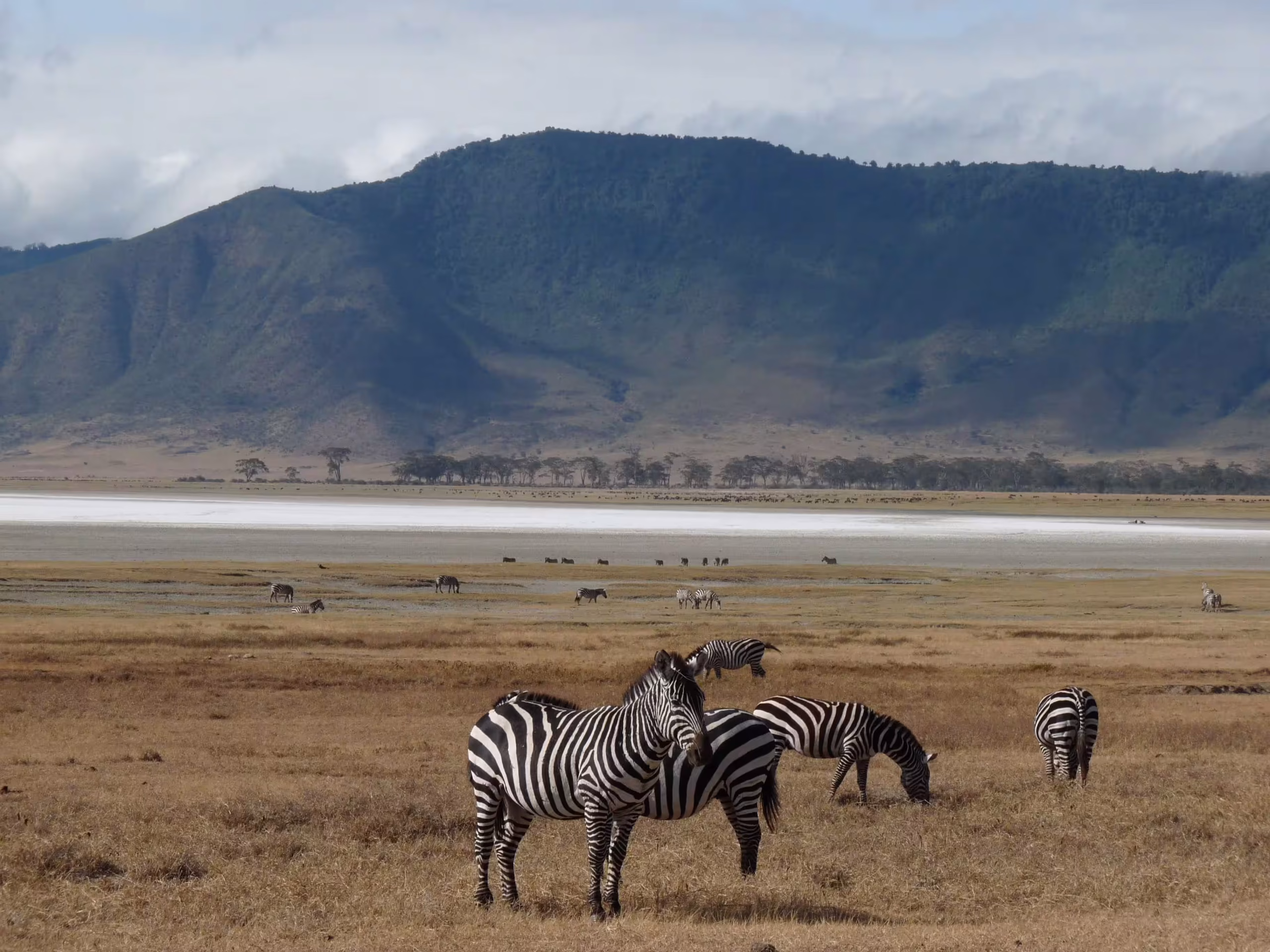 Ngorongoro Crater