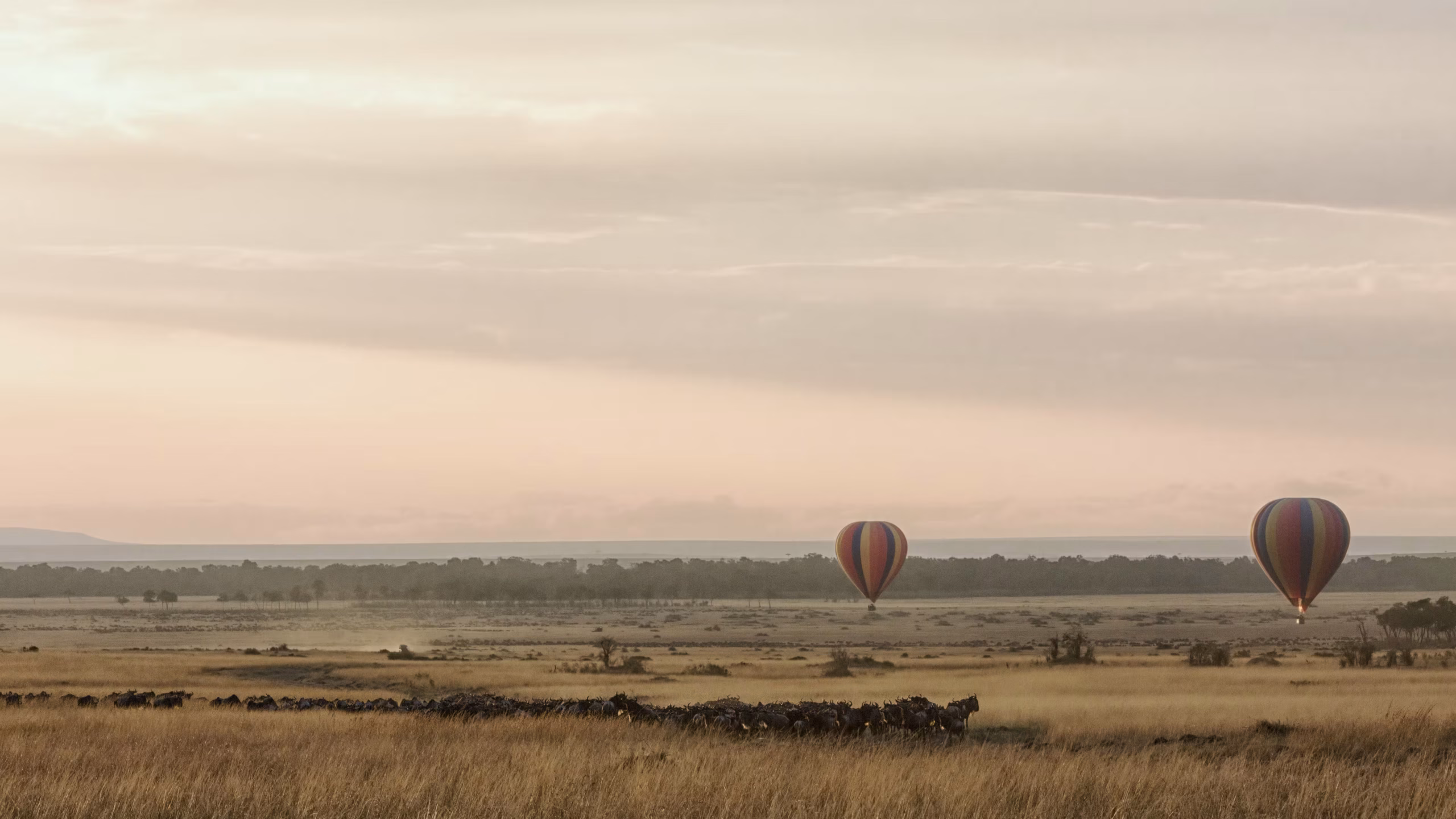 Hot air balloon over Serengeti at dawn