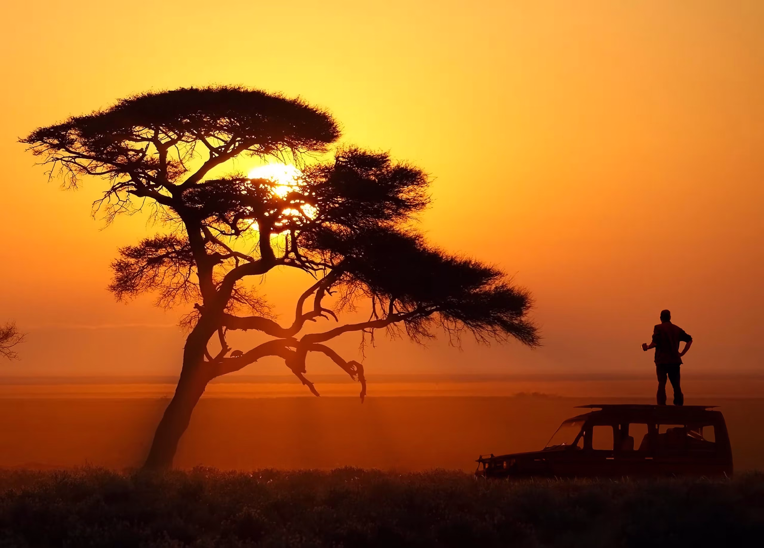 Safari vehicle silhouette at sunset