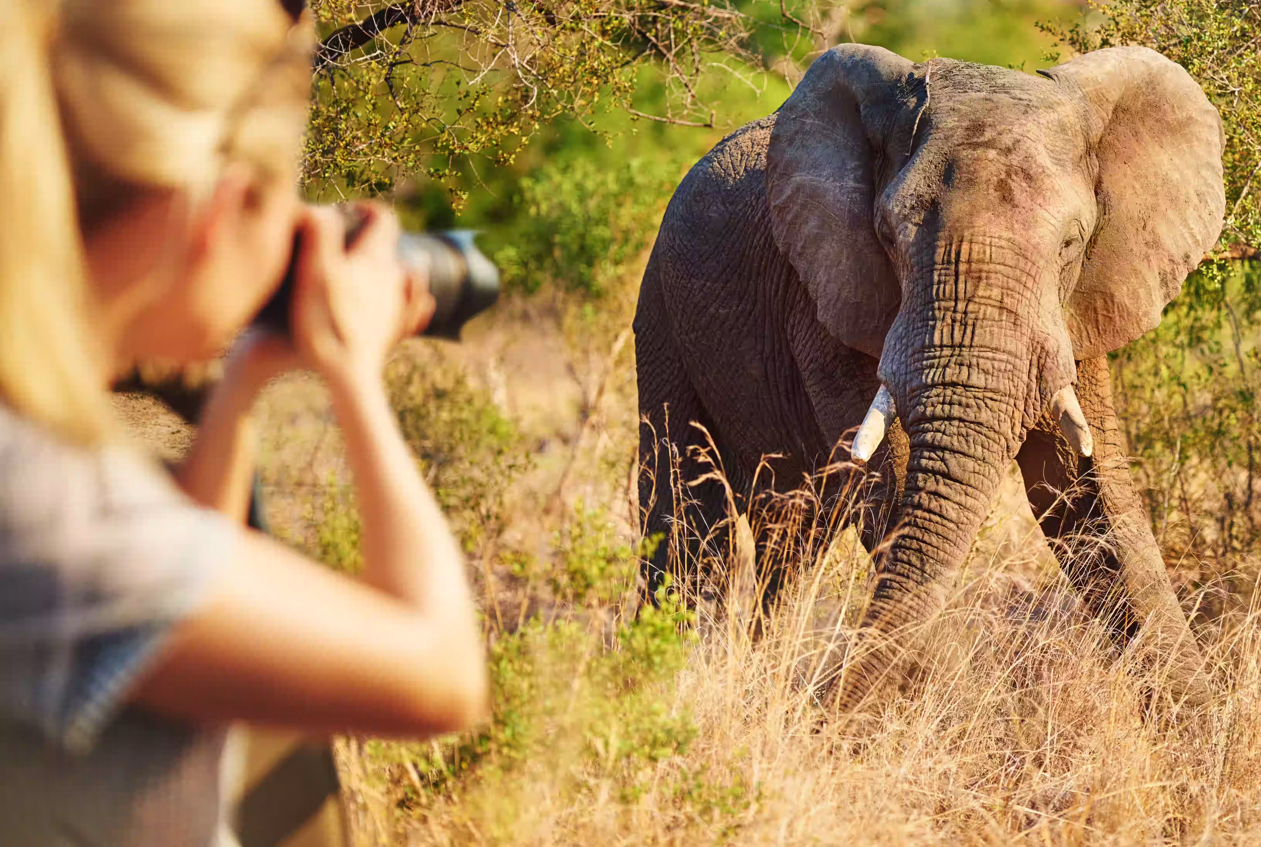 A lens-by-lens guide to a Tanzania photo safari